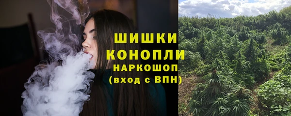 трава Вязьма