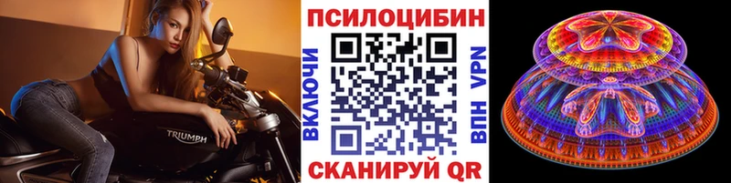 Купить  Катайск  Галлюциногенные грибы MAGIC MUSHROOMS 